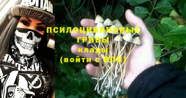 ГАЛЛЮЦИНОГЕННЫЕ ГРИБЫ Балахна