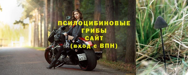 ГАЛЛЮЦИНОГЕННЫЕ ГРИБЫ Балахна